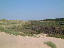 Formby Point and Red Squirrel Reserve